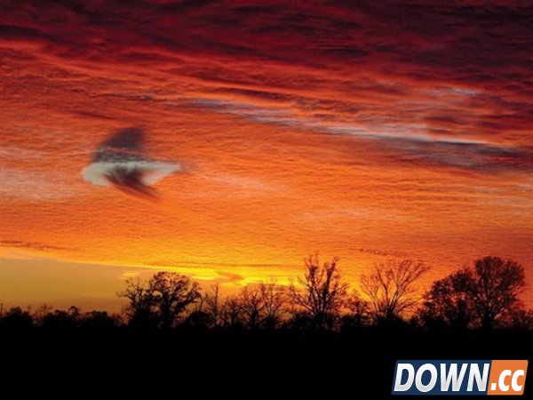 十大最怪异天气：百年一见的“空中降鱼”