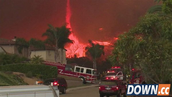 十大最怪异天气：百年一见的“空中降鱼”