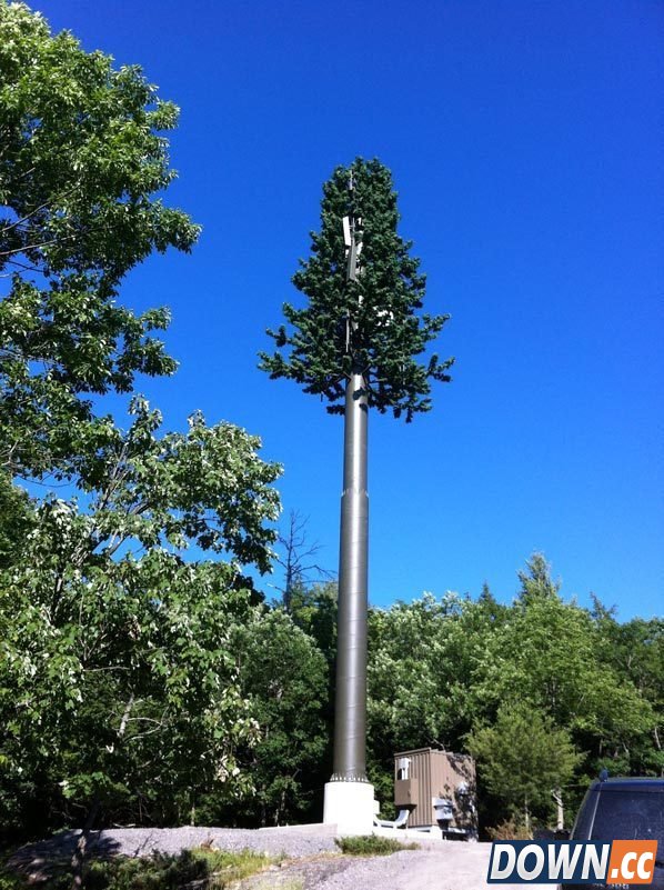 为什么手机信号塔要进行伪装？[19p]