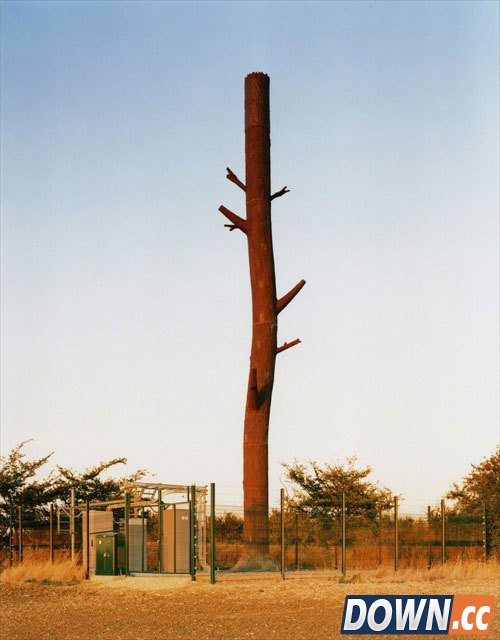 为什么手机信号塔要进行伪装？[19p]