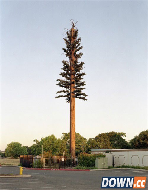 为什么手机信号塔要进行伪装？[19p]