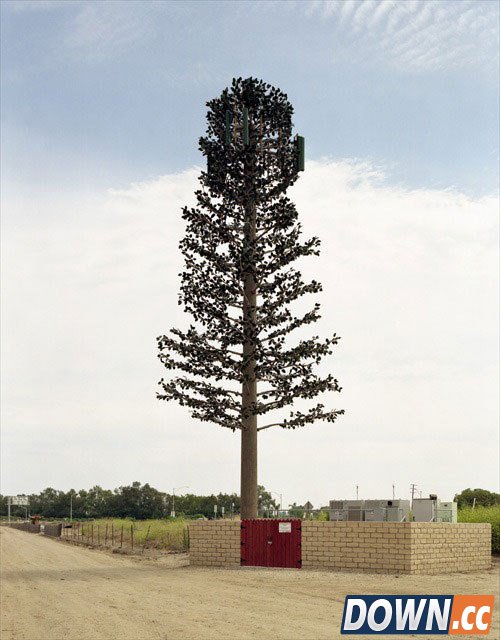 为什么手机信号塔要进行伪装？[19p]