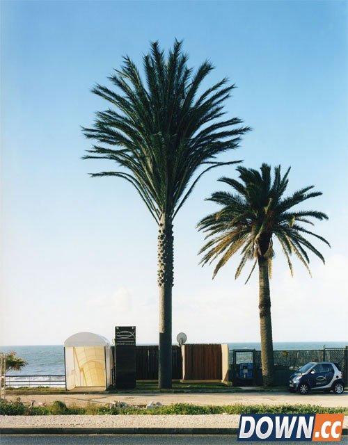 为什么手机信号塔要进行伪装？[19p]