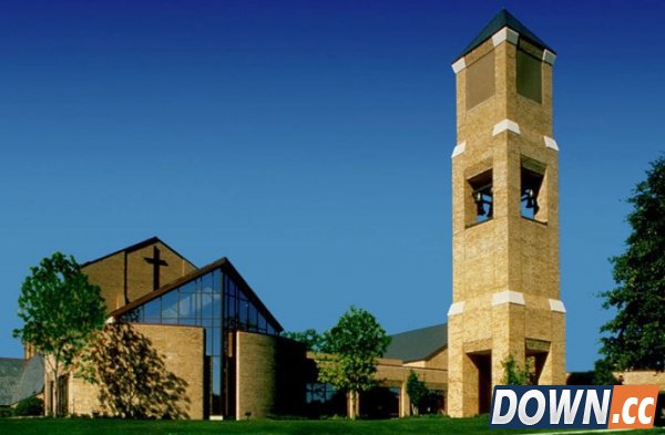 为什么手机信号塔要进行伪装？[19p]