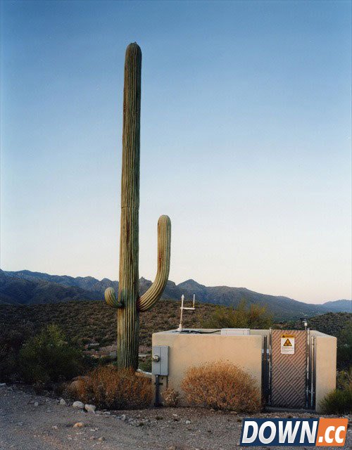 为什么手机信号塔要进行伪装？[19p]