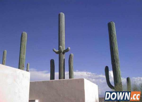 为什么手机信号塔要进行伪装？[19p]