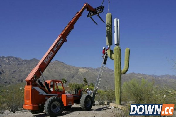 为什么手机信号塔要进行伪装？[19p]