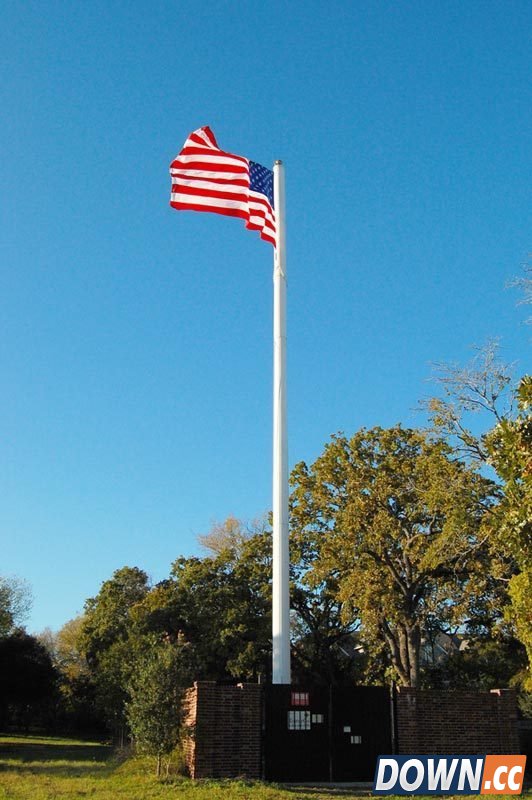 为什么手机信号塔要进行伪装？[19p]