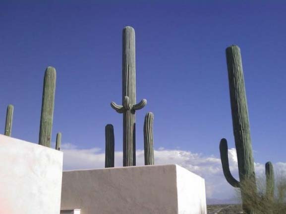 19个被精心伪装的手机信：只有高树 没有玛利亚