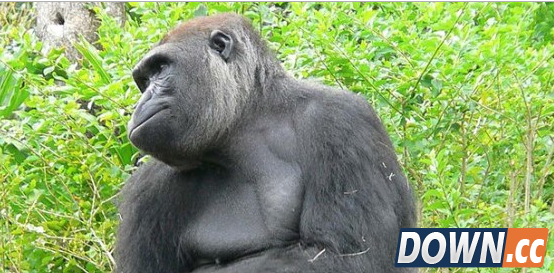 九大科技产品伤害 你中了几枪？