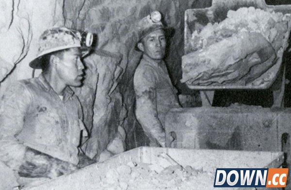 十大辐射惊人事实：切尔诺贝利“不死林地”