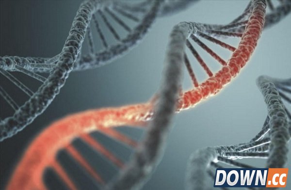 十大辐射惊人事实：切尔诺贝利“不死林地”