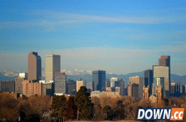 十大辐射惊人事实：切尔诺贝利“不死林地”