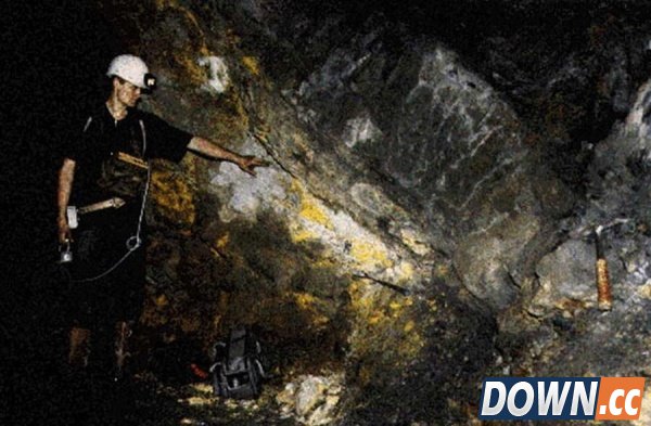 十大辐射惊人事实：切尔诺贝利“不死林地”