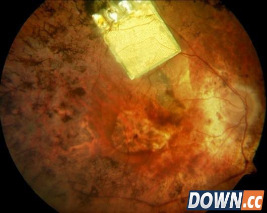 靠这10大新技术能打造一个完美的“仿生人”