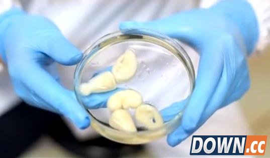 靠这10大新技术能打造一个完美的“仿生人”