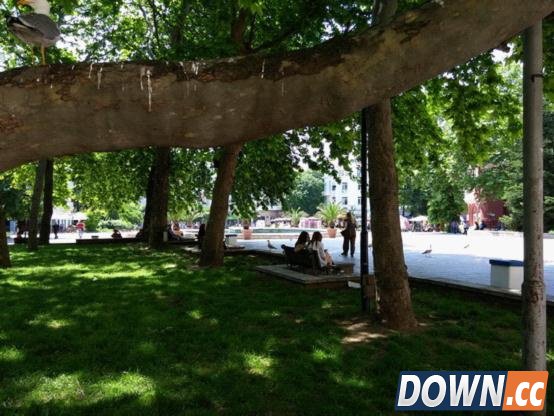 LG G3对三星S5：谁才是韩系Android机王？