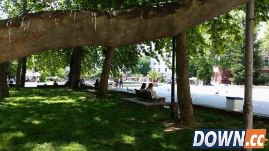 LG G3对三星S5：谁才是韩系Android机王？