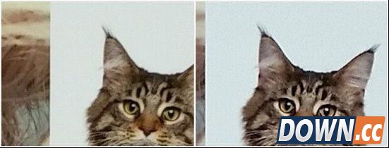 LG G3对三星S5：谁才是韩系Android机王？