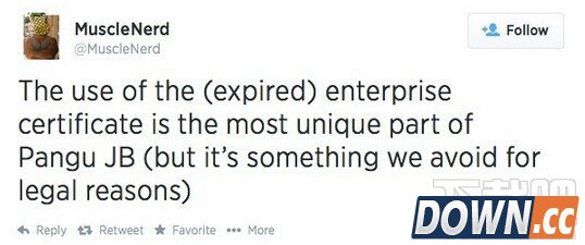 06-25 11-23 bbyel.jpg