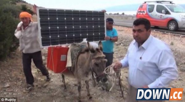 农夫用“太阳能毛驴”为笔记本充电