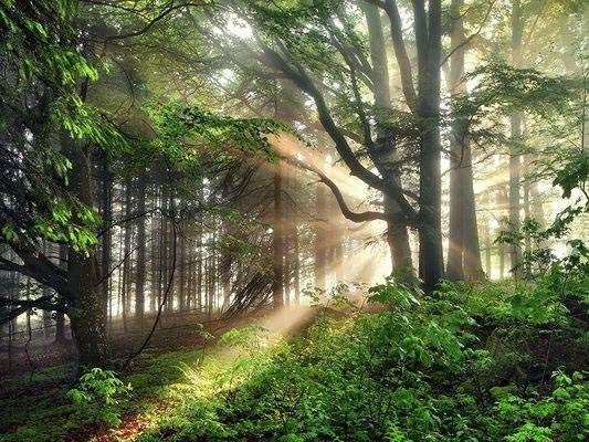 色盲摄影师镜头中让人惊艳的世界