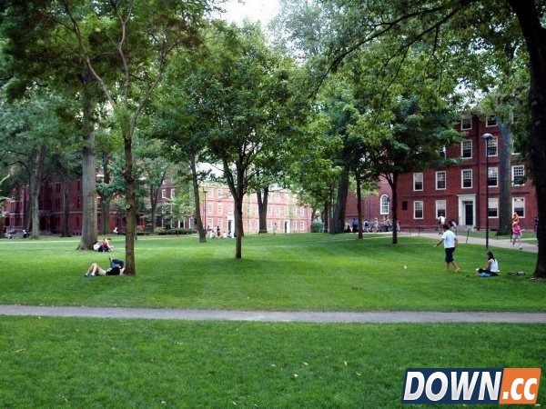 看看最富有的比尔·盖茨是怎么过日子的