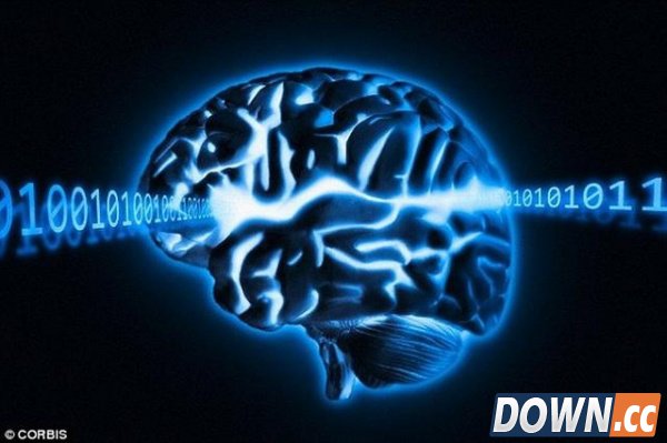 科学家研制液态硬盘 将来有望融入大脑