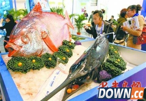 美渔船幸运爆棚 1天捕到3条月亮鱼