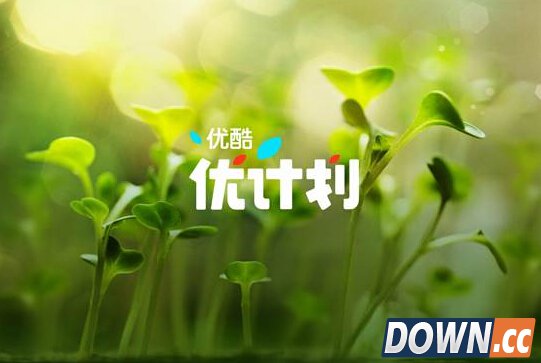 优酷推动新人奖 开创业内首个UGC成长机制