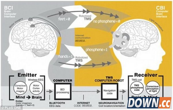 科学家首次远程传递“心灵感应”信息