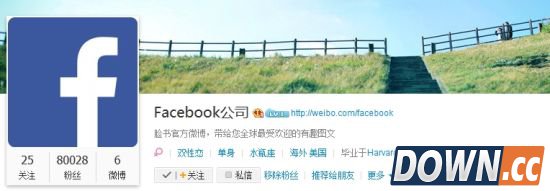 Facebook开通微博中文名定为“脸书”