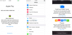 苹果Apple Pay支付服务功能曝光