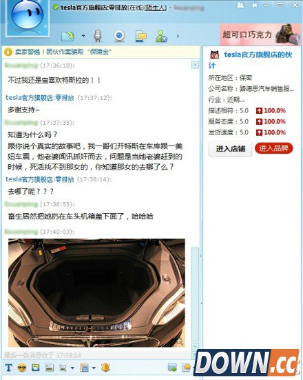 特斯拉参加天猫双11 活动未开始客服先被调戏