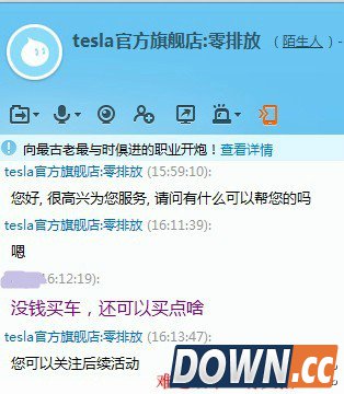 特斯拉参加天猫双11 活动未开始客服先被调戏