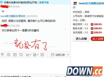 特斯拉参加天猫双11 活动未开始客服先被调戏