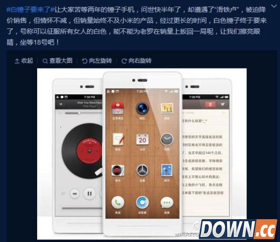 网友爆料称白色版锤子18日发售