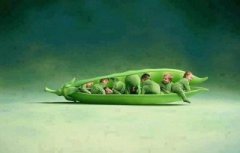 传豌豆荚内乱 到底发生了什么?