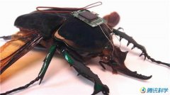 美军十大惊人试验曝光