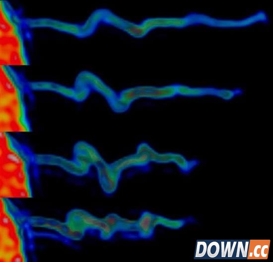 细胞太神奇了:可利用指头结构感知环境