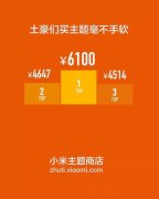 MIUI土豪们一年花费6100元购买主题