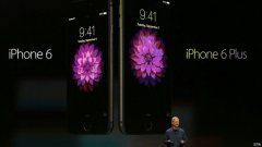 苹果在俄2014年智能手机销量居榜首