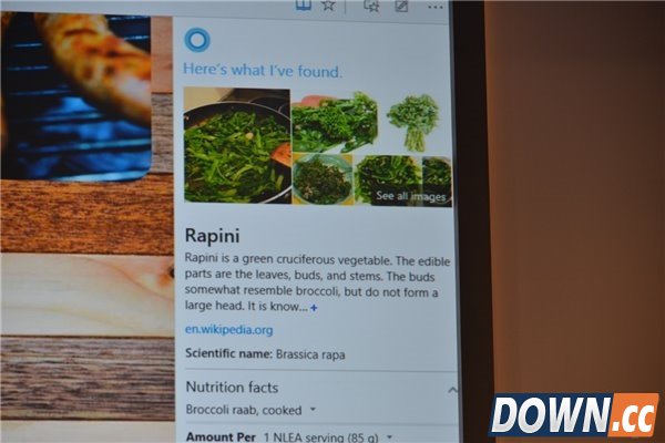 Windows 10全新浏览器降临！还是无名氏