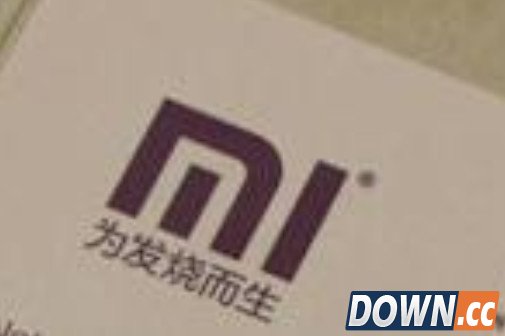 合作已久该出手了 小米收购设计公司RIGO Design