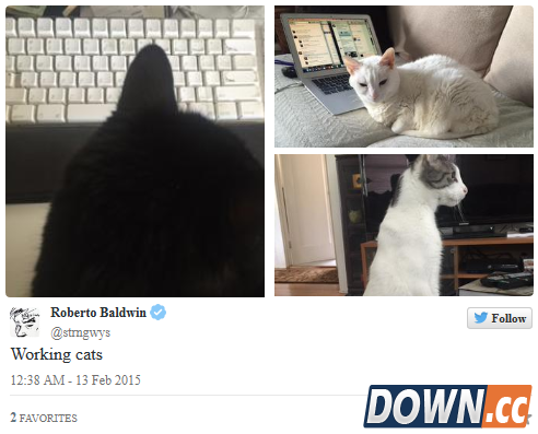 twitter测试多张照片显示方式 全新显示界面