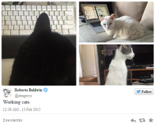 twitter测试多张照片显示方式