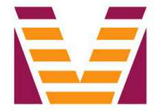 手机QQ音乐怎么下载MV