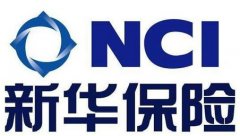 新华保险终止引入投资计划