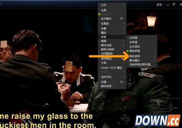 迅雷看看怎么用音轨