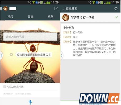 搜狗问问猜灯谜会与你一起闹元宵